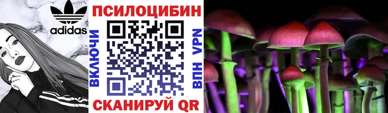 ОМГ ОМГ   закладка  сайты даркнета клад  Псилоцибиновые грибы Psilocybine cubensis  Карачев 